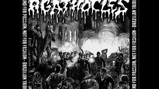 VA - Grind For Passion, Not For Fashion - Brazilian Tribute to Agathocles - (Full album) (2014)