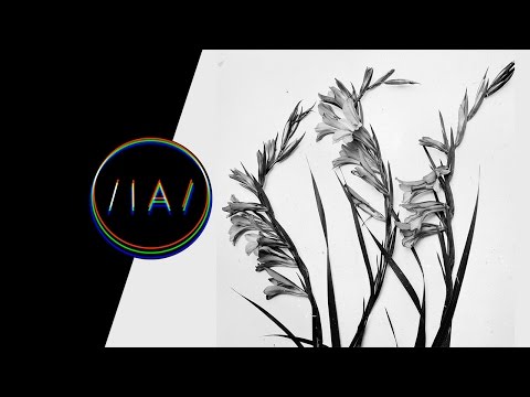 Isorinne - Closing Window to the East