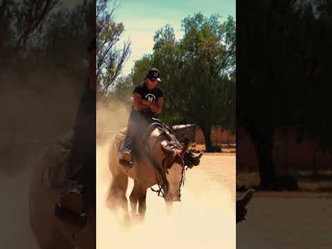 Tome prestado un caballo de reining para barrilear y me regañaron 😂🤠