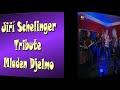 Jiří Schelinger Tribute Mladen Djelmo