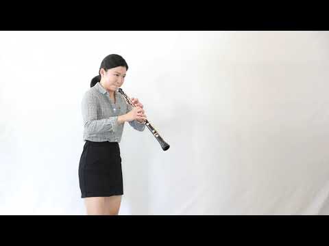 Beethoven's Eroica Symphony // Second mvmt oboe excerpt