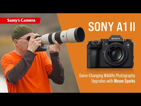 Sony α1 II vs. α1: Game-Changing Wildlife Photography Upgrades w/ Moses Sparks