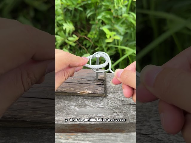 Vídeo relacionado con TOPP Perdido en la traducción: el Juego de los dichos más extraños de más de 30 Idiomas, Rompecabezas compartidos por los proverbios del Mundo, auténtico y Probado por hablantes nativos.