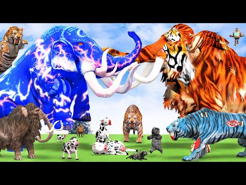 10 Mammoth Elephant vs 10 Elephant Buffalo vs Giant Tiger Wolf Fight Cow Lion Cub Saved by Mammoth