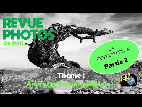 REVUE DE VOS PHOTOS : THEME "ARBRES REMARQUABLES" (Partie 2) - Restitution - Episode n°600