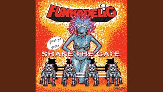 Ain't That Funkin' Kinda Hard on You?