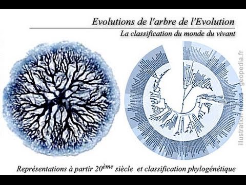 pourquoi la biologie