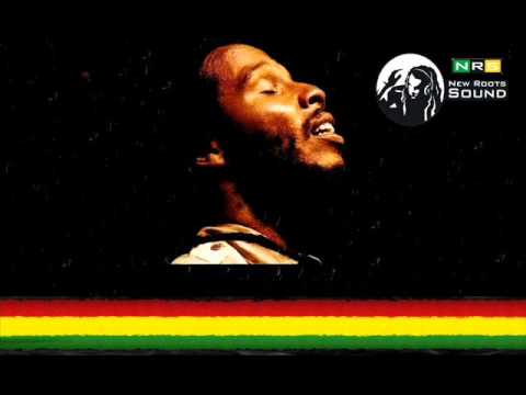 Sure Shot Remix Feat. Dj Negão (Turtle Riddim) 2011