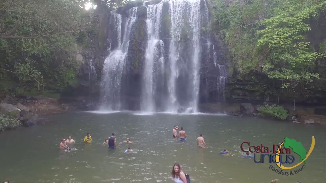 Rainforest, Hanging Bridges & Jungle Sloths Sanctuary