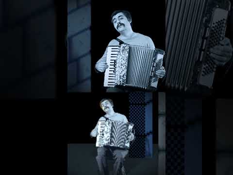 همه جا رو گ* برداشته