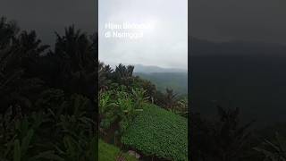 Download lagu hijau berkabut sore hari di Balegede Naringgul Cianjur mp3