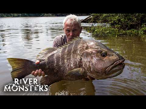 The BIGGEST FISH caught in Season 9 of River Monsters