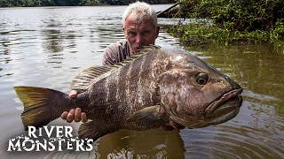 Download lagu The BIGGEST FISH caught in Season 9 of River Monsters mp3