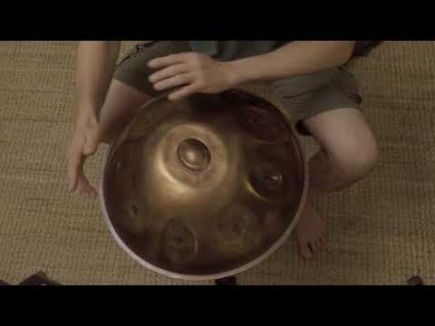 Taopan Handpan – Mini 46cm – Stainless - G D F G G# B C D D#