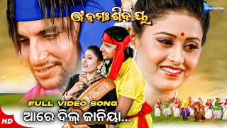 ଆରେ ଦିଲ୍ ଜାନିୟା Are Dil Janiya Movie Udit Narayan