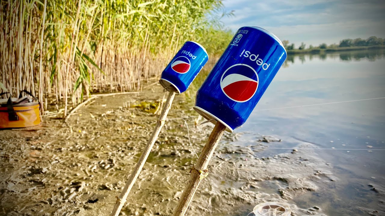 Ловля БЕЛОГО АМУРА и КАРПА на примитивные снасти!