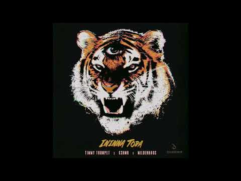 Timmy Trumpet x KSHMR x Mildenhaus - Ininna Tora