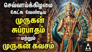 Download lagu Tuesday Murugan Powerful Bakthi Padalgal | Murugan Devotional Songs mp3 Download lagu Tuesday Murugan Powerful Bakthi Padalgal | Murugan Devotional Songs mp3