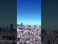 View from Sky Lounge at Yebisu Garden Place