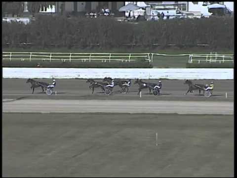 Trotto 09/10/2014 - 1° prova di qualifica