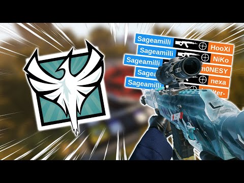 What 10,000 Hours Of Zofia Looks Like