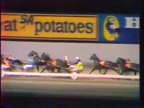 1984 Interdominions - Pacers' 3rd Heat, Globe Derby Park, Adelaide: Black Irish