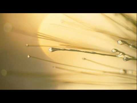 Antonio Vivaldi: Gloria in D major (RV 588) - Part II