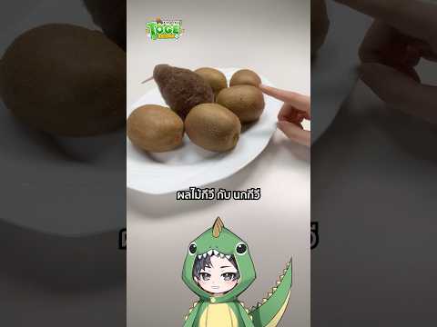 ผลไม้ และ นกกีวี | TOGE トゲ