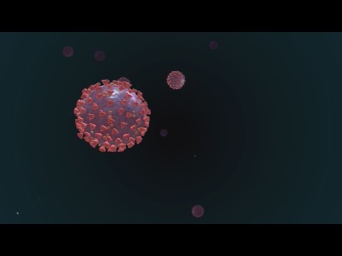 WHO warns that new virus variant poses ‘very high’ risk