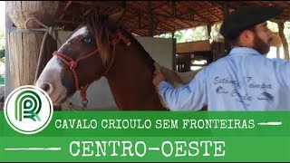 Miniatura do vídeo