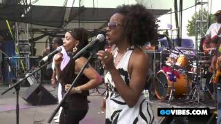 Toots &amp; The Maytals Perform "Monkey Man" at Gathering of the Vibes 2011