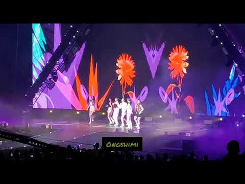 191109 KAMP 🇸🇬 2019 - Gfriend - Navillera