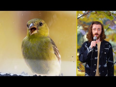 Its Nesting Season - Brian David Gilbert