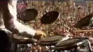 La Roux Glastonbury 2010 - Tigerlily/I&#39;m Not Your Toy