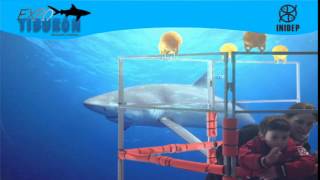 DIA 2 Expo Tiburon249