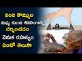 Why We Should See LORD Shiva Through NANDI HORNS Revealed Interesting Facts Dharmapatham