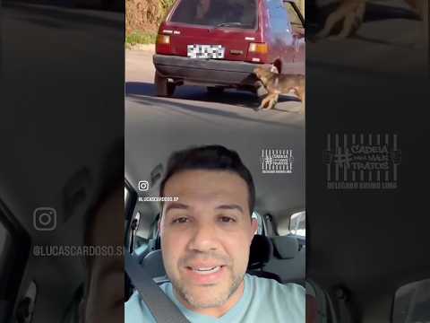Crime de abandono 😡 #cadeiaparamaustratos #pet  #pets #atibaia .#saopaulo