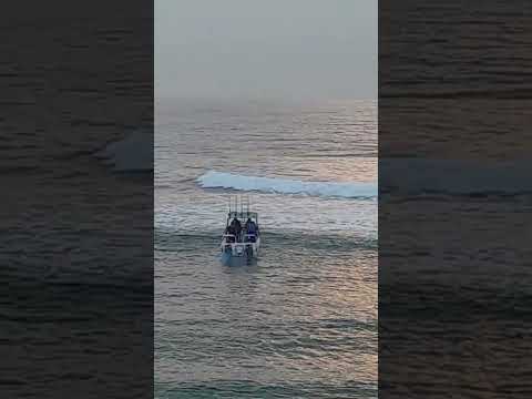 Sonny Evans  - Shelly Beach