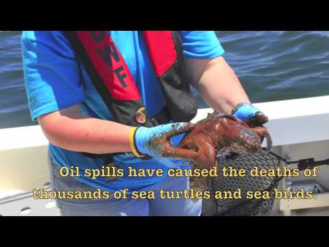 How to Make an Effective PSA