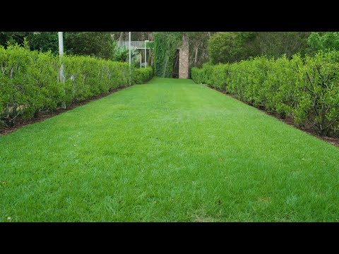 The Garden Gurus - The law to a great lawn #7
