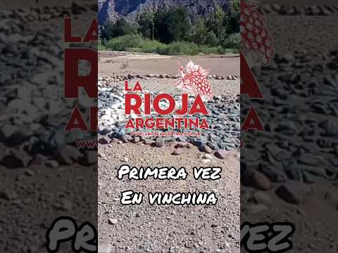 Visitando el departamento VINCHINA por primera vez / Año 2020 / LA RIOJA ARGENTINA #shorts