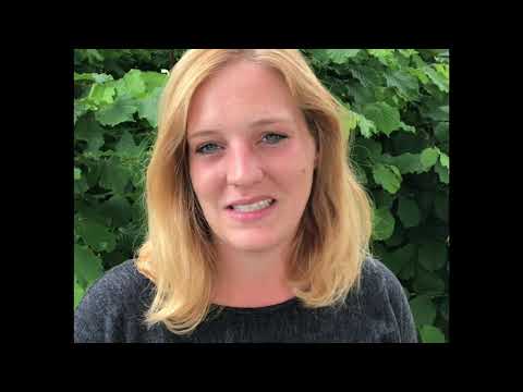 Vom Wunsch zur Realität - Mireille