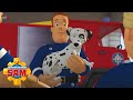 Feuerwehrmann Sam und Schnuffi | Feuerwehrmann Sam | Cartoons für Kinder