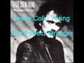 Jesse Colin Young - The Perfect Stranger