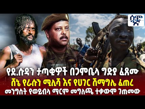 የደ.ሱዳን ታጣቂዎች በጋምቤላ ግ-ድያ ፈጸሙ | ሸኔ የራሱን ሚሊሻ እና የሀገር ሽማግሌ ፈጠረ  | Ethiopia
