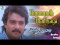 Thannandh Thaniyaga Song Nilave Mugam Kaattu Movie Songs Ilaiyaraja Karthik Ramki Devayani