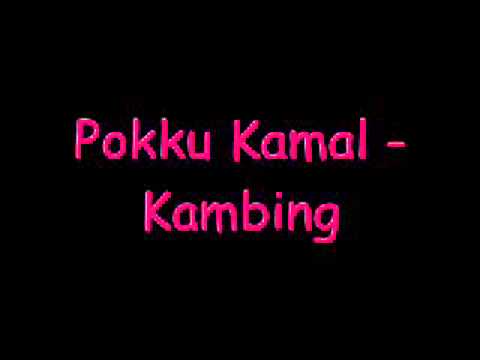 Pokku Kamal   Kambing