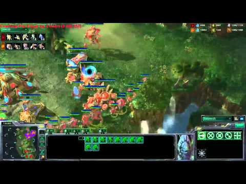 CoL.Minigun's PvZ Lesson 12/09/2011 - Coaching