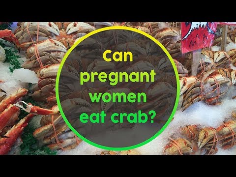 download lagu mp3 mp4 Crab Legs During Pregnancy, download lagu Crab Legs During Pregnancy gratis, unduh video klip Crab Legs During Pregnancy
