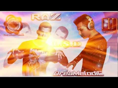 Raz Feat DreaMelodiC - L.S.D (Special VJ) 192 kbps